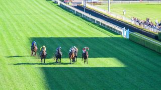 Thoroughbred Preview