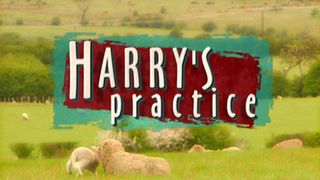 Harry's Practice