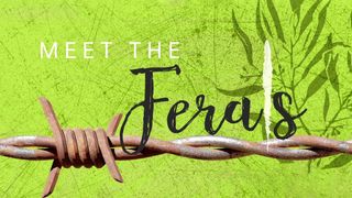 Meet the Ferals