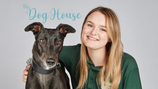 The Dog House