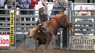Pro Bull Riding