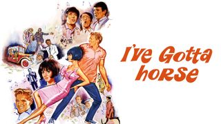 I've Gotta Horse