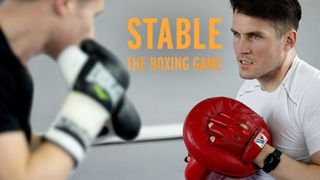 Stable: The Boxing Game