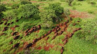 South Africa from Above