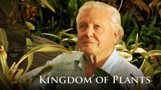 Kingdom of Plants