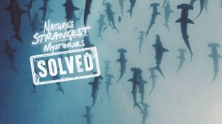 Nature's Strangest Mysteries: Solved