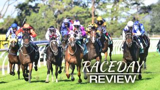 Raceday Preview