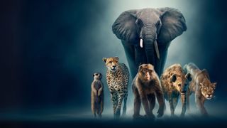 David Attenborough's Dynasties II