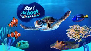 Reef School