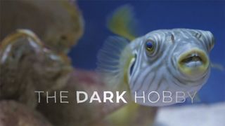 The Dark Hobby