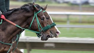 Famous Five - Rupert Clarke Stakes