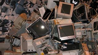 Y2K: The Bug That Didn't Bite