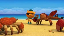 S4 E19: Octonauts and the Coconut Crisis