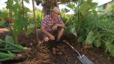S31 E23: Gardening Australia