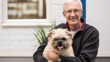 S6 E5: Paul O'Grady: For the Love of Dogs