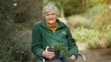 S35 E25: Spring: Succulent Success & Pristine Ponds