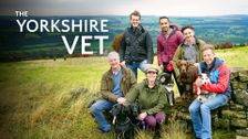 The Yorkshire Vet
