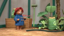 S2 E1: Paddington's Plant Problem