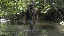 Close Encounters with Levison Wood