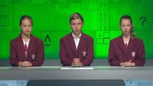 S19 E60: It's Academic