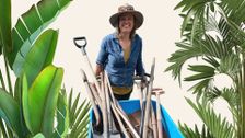 S32 E9: Costa's Verge, Sharp Tools & Philodendrons