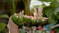 S1 E15: Teeny Tiny Garden