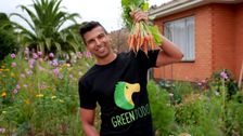 S36 E5: Autumn: Tree Transplanting & Medicinal Plants