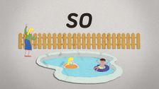 S2 E41: So