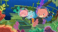 S1 E24: All at Sea