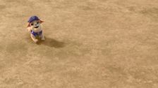 The Crew Builds a Bowling Alley