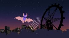S1 E9: Bats