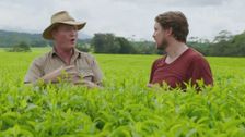 S2 E26: Freshly Picked with Simon Toohey