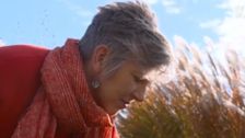 S32 E11: Gardening Australia