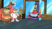 S13 E1: A Place for Pets; Lockdown for Love