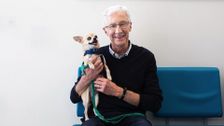 S11 E7: Paul O'Grady: For the Love of Dogs