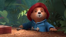 Paddington Digs a Tunnel to Peru
