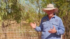 S18 E4: Pat Callinan's 4x4 Adventures