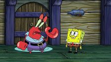 S12 E25: Knock Knock, Who's There?; Pat Hearts Squid