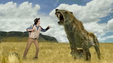 S1 E11: Sabre-Toothed Cat and Roar