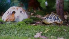 Finding Friends