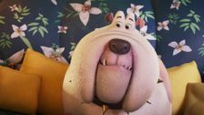 S1 E11: Puppy Love