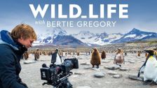 Wild Life: The Big Freeze