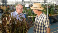 S30 E21: Gardening Australia