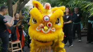 Lion Dancers: The Crane and the Lion