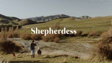 Shepherdess