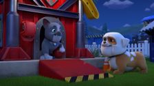 S2 E8: The Crew Builds Charger a Super Bed; The Crew Builds a Super Squirrely Whirly Playground