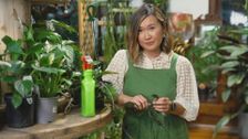 S36 E2: Gardening Australia