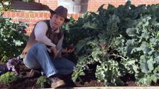 S32 E22: Gardening Australia