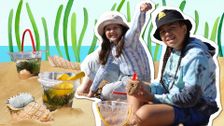 S2 E17: Ocean Gardens