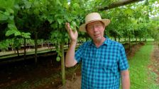 S31 E23: Gardening Australia